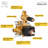All-In-One Kit with Rough in-Valve