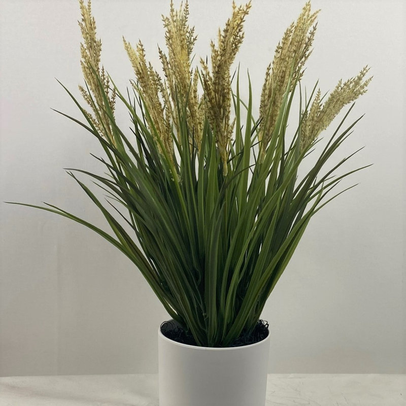 Arrangement floral mixte en pot