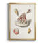 Pastel Knorr Shells VII, reproduction encadrée de qualité supérieure - prête à être accrochée-88286385-88286389