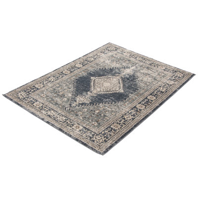 Oriental Indoor Rug