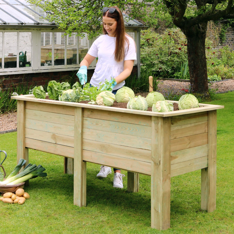 Jimmy Wood Raised Garden Bed
