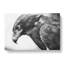Golden Eagle Vol.2 - Wrapped Canvas-61852261