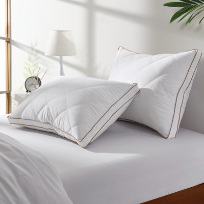 Oreiller en duvet et plumes d'oie grise