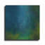"Sagittaire" par Samedin Asllani-227547338