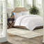 All Season Bedding Sets, Polyester Twin Comforter, Modern Design