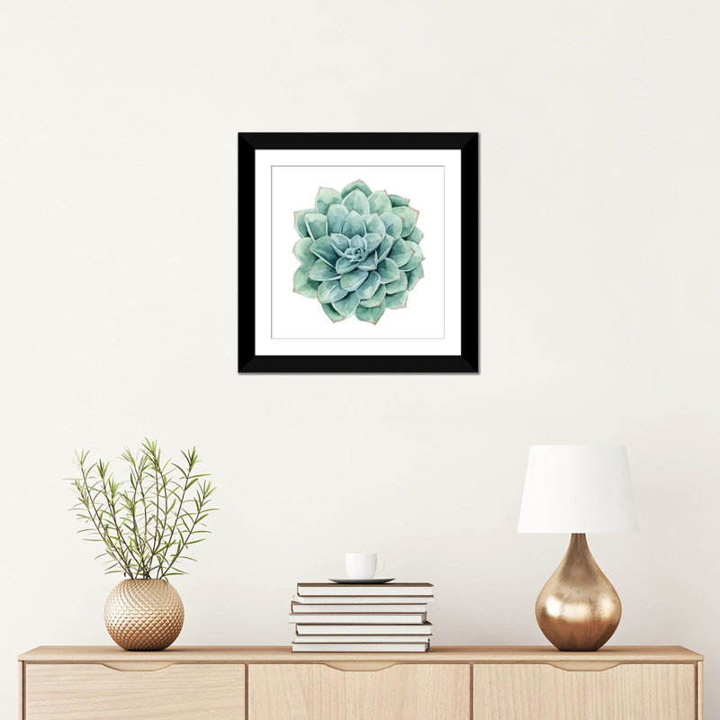 « succulent nuanciers i », impression sur toile, Papier d'art encadré noir, Blanc, H 16 po x l 16 po x P 1 po