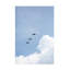 Art sur toile, Bachelolog-105651150