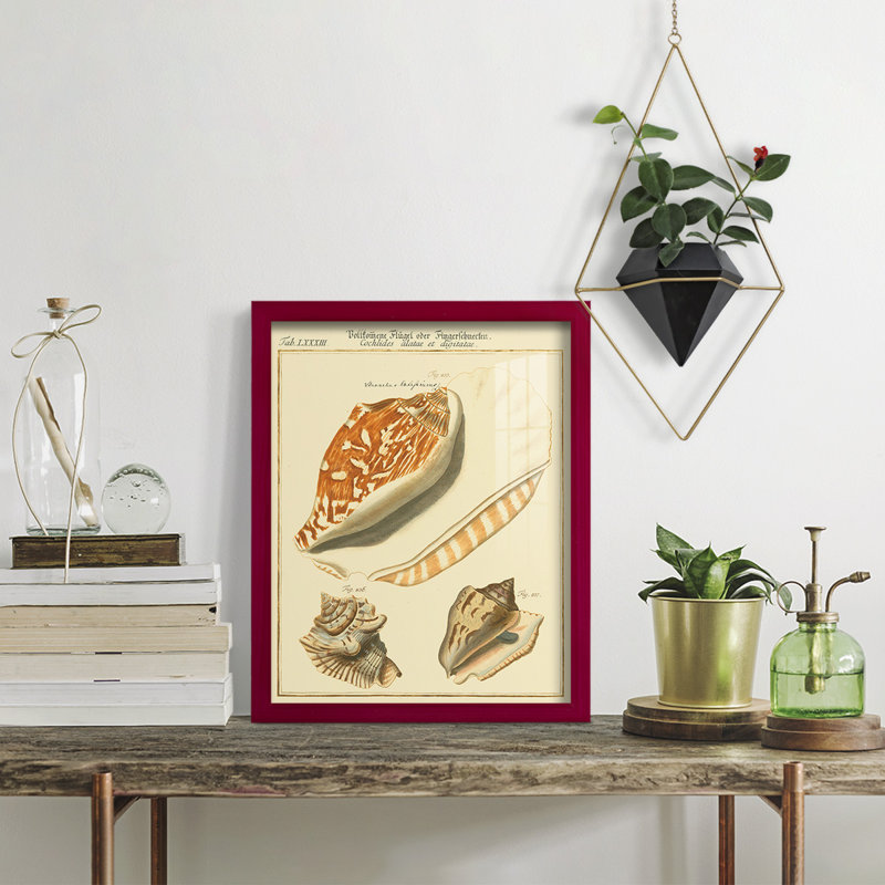 Coquilles de martini antique III sur papier, Rouge, H 15 po x l 12 po x P 1 po