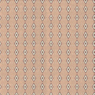 Geometric Indoor Rug