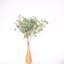 28 po. Fumée eucalyptus 28 po. Spring Summer