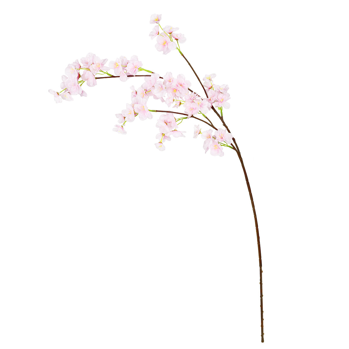 Cherry Blossom Stems, Light Pink