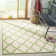 Ferrill 100 Performance Geometric Indoor/Outdoor Area Rug