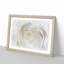 Crisp White Rose in Abstract - Picture Frame Graphic Art Print-55682826-55682823