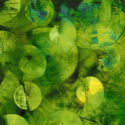 Nautilus In Green I by Sharon Gordon - Wrapped Canvas Print