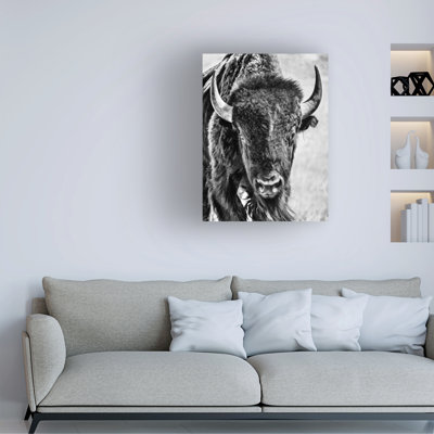 Buffalo Portrait Modern & Contemporary