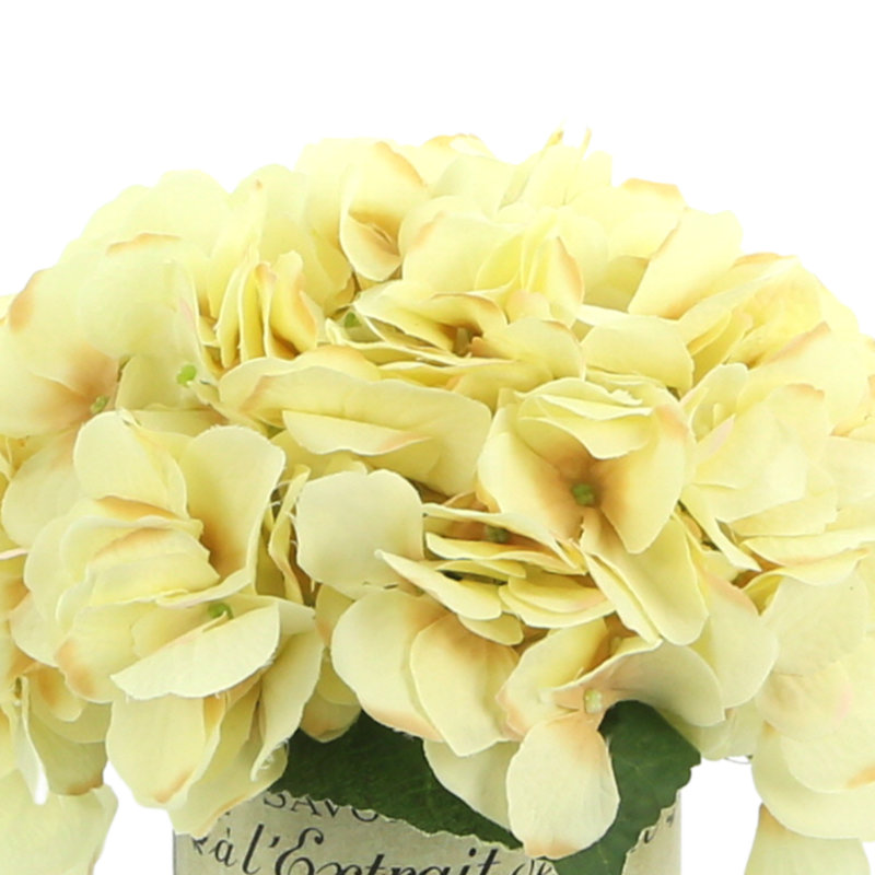 Hydrangea Floral Arrangement in French Labeled Vase