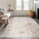 Alyssa Traditional Oriental Gray Polyester Rectangle Area Rug