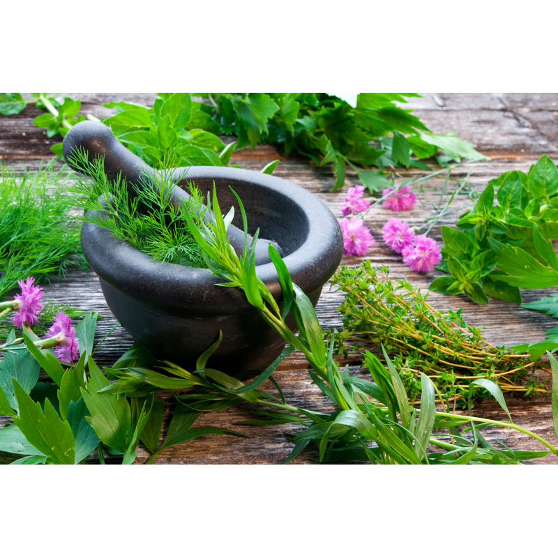 Fresh Herbs by Zeleno - Wrapped Canvas Print, 81cm H x 122cm W