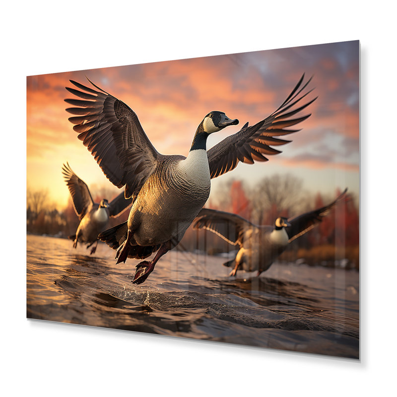 Canada Oies canadiennes II - Décoration murale animaux en métal, H 12 po x l 20 po x P 1 po