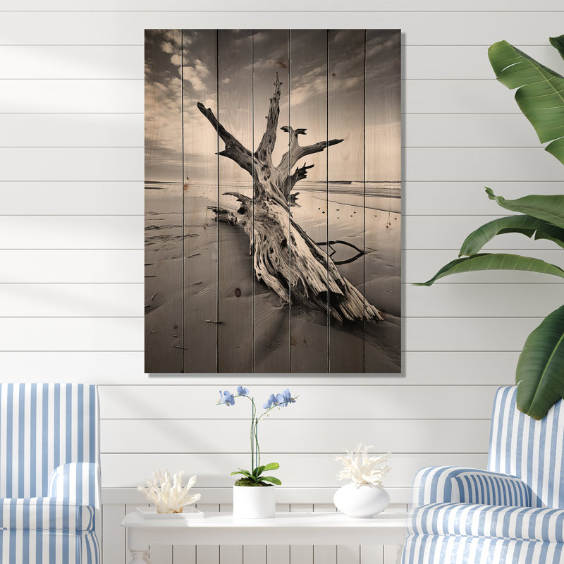 Beach Driftwood Photo III sur bois, H 40 po x l 30 po x P 0,78 po