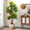 Figuier artificiel figuier - plante artificielle en pot pour la maison et le bureau