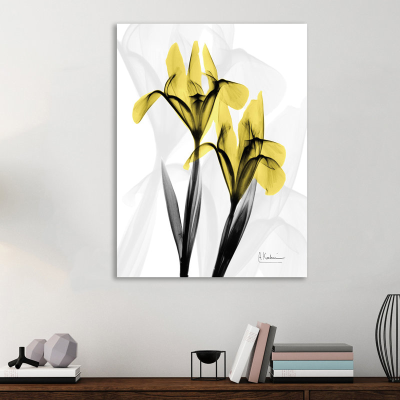 Iris - impression sur toile tendue, H 12 po x l 12 po