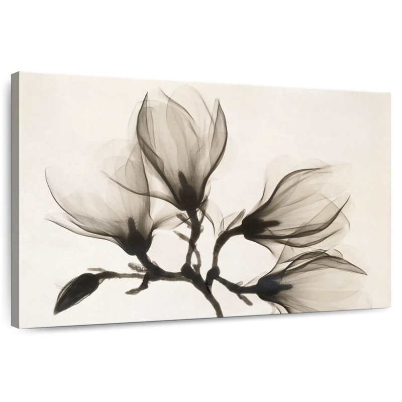 Branche avec quatre magnolias, H 20 po x l 30 po
