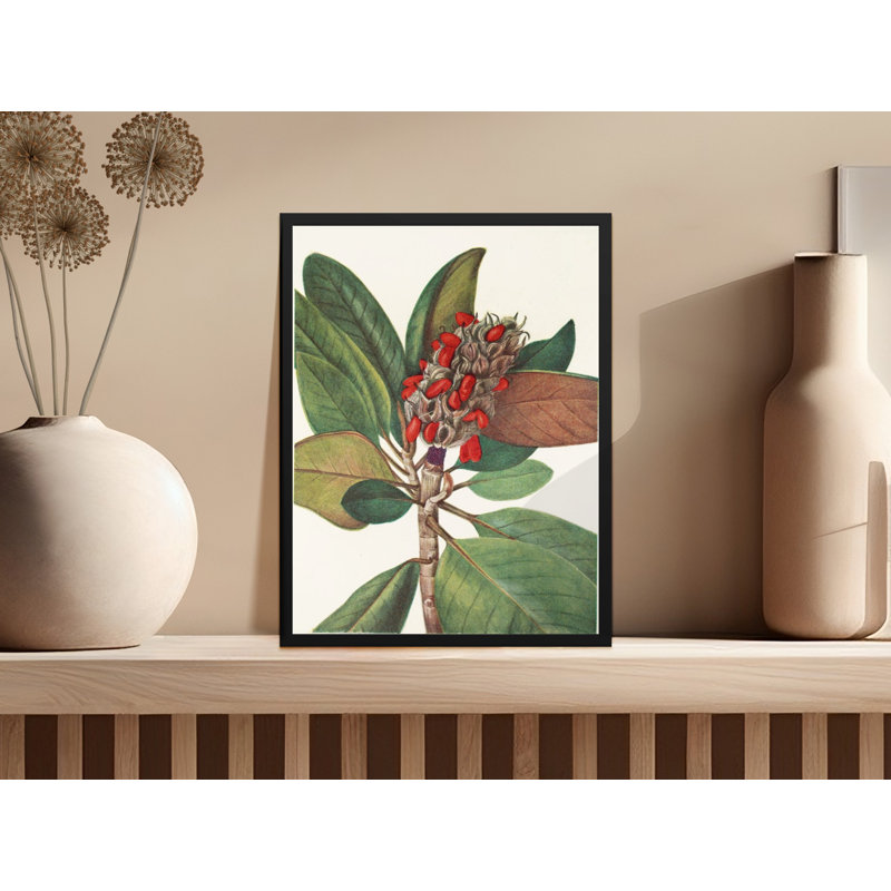 Bellamira Floater Frame Print, 24x36