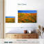 California Golden Poppies-1760357512