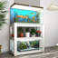 Book Display-734115411