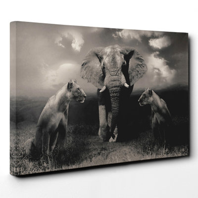 Wrapped Canvas Print