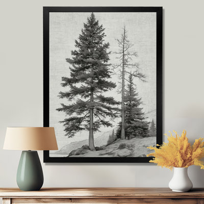 Vintage Pine Trees On Mountain - Pine Wall Art, Black Nature Canvas Print
