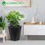 Pot Planter-685284878