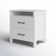 Allysyn 22.7" 2 Drawer Nightstand