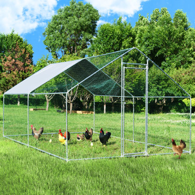 Walk In Chicken Run with Chicken Run
