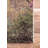 Abstract Indoor Rug-19182003
