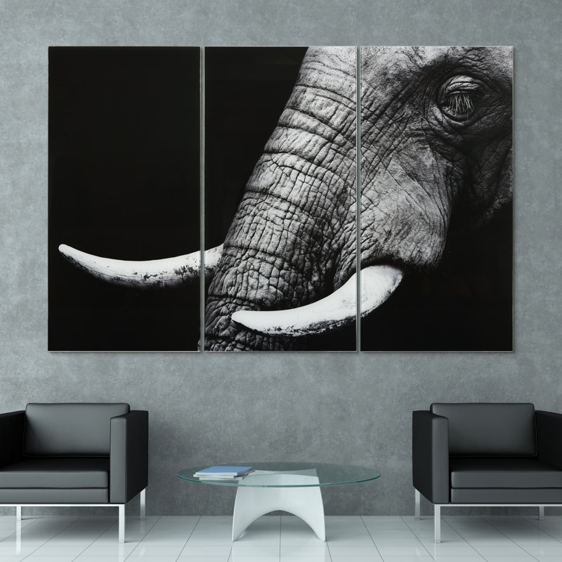 "Elephant ABC", ensemble de panneaux muraux en verre trempé flottant sans cadre