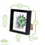 Nicola Spring - 3D Box Photo Frames - Mount-55856577-55856575