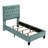 Kayden Upholstered Standard Bed-24049071-24049066