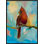 Red Cardinal Print by Fern Cassidy