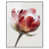 White Floater Frame