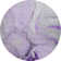 Premium Machine Washable Cerrito AMF506 Purple Rug