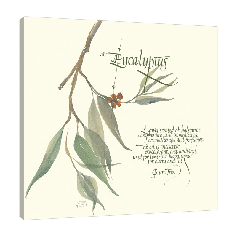 "Eucalyptus", toile tendue par Chris Paschke, H 24 po x l 24 po x P 1,5 po