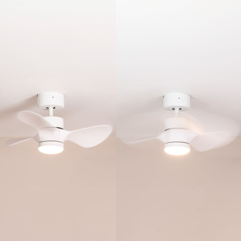 Cayleeann 24cm Ceiling Fan with LED Lights, White