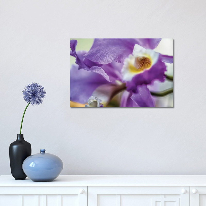Orchid Purple Iris Flower 1 Piece Wrapped Canvas Wall Art, 30.48cm H x 45.72cm W x 1.9cm D