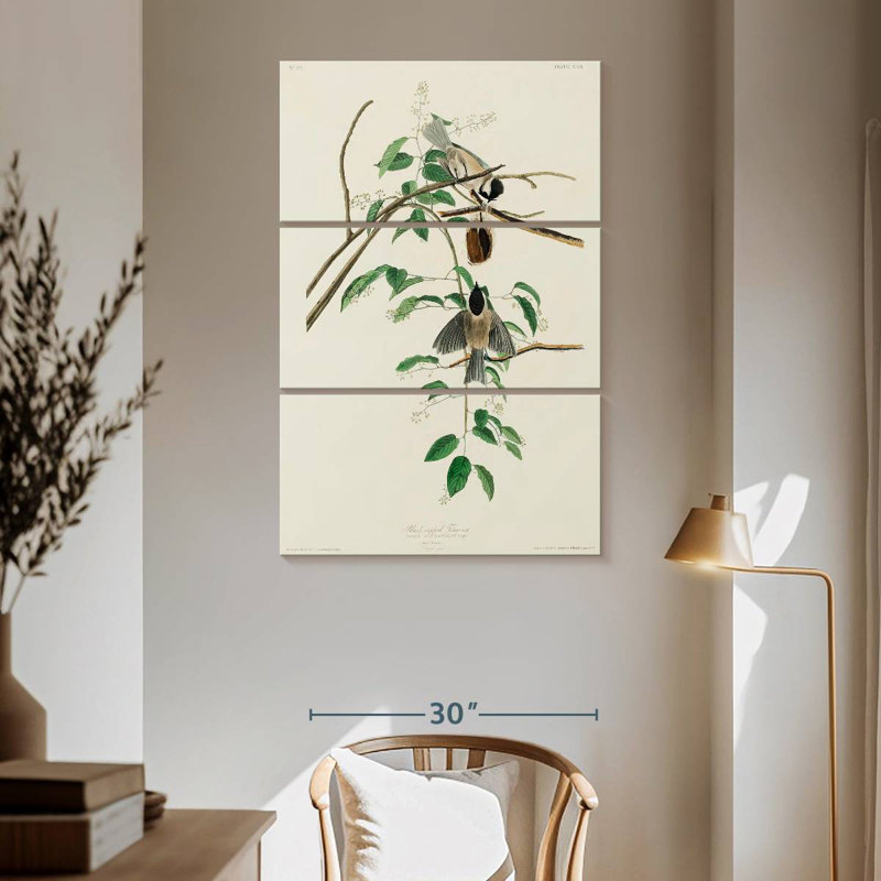 Brampt Carolina Titmouse, 65" H x 42" W