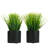 7.87'' Faux Grass in Cement Pot-259154101