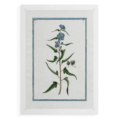 Botanique I - Impression sur toile seulement - NON-CADRE