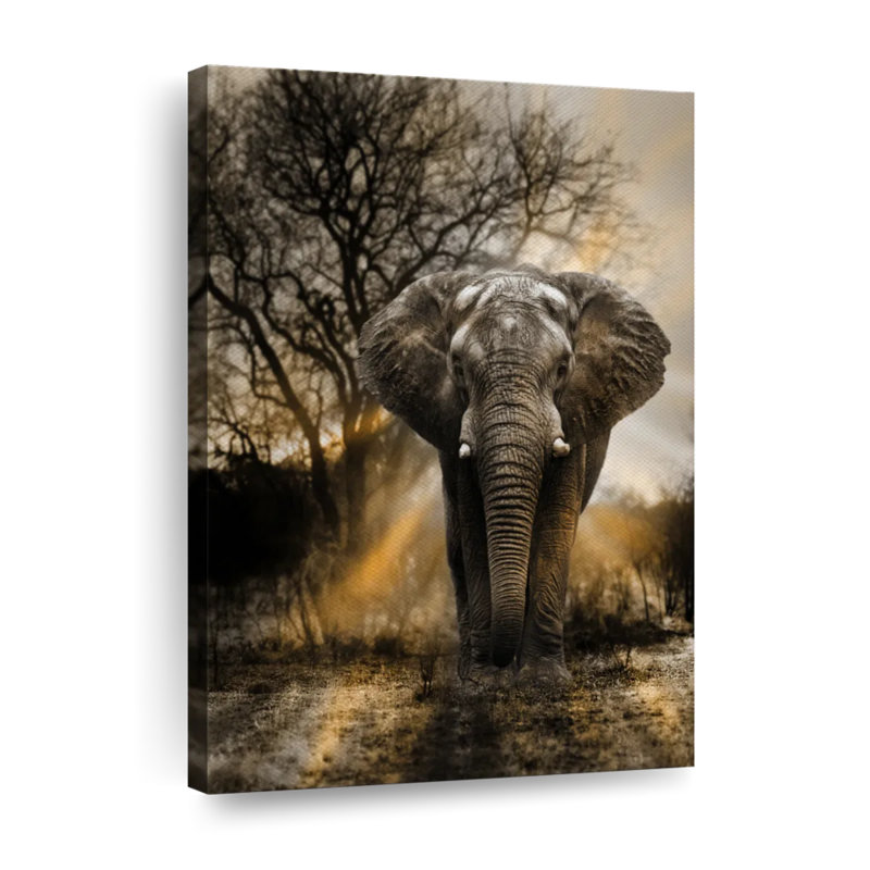 «Elephant Sunset», reproduction sur toile, H 12 po x l 8 po x P 1 po