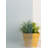 Niah Wall Decal